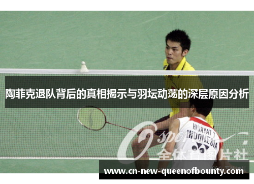 陶菲克退队背后的真相揭示与羽坛动荡的深层原因分析