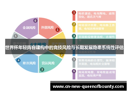 世界杯年轻阵容建构中的竞技风险与长期发展隐患系统性评估